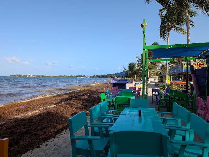 Placencia Barefoot Beach Bar