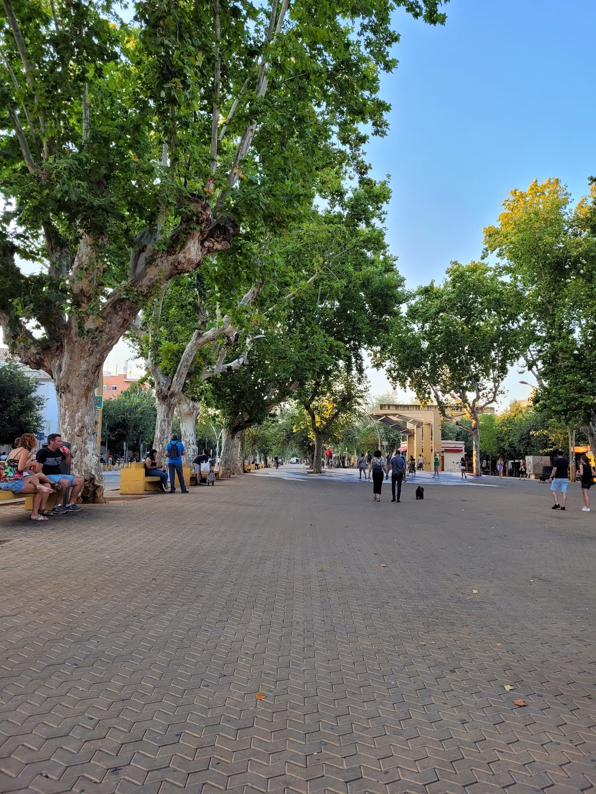 Plaza Alameda de Hércules Cafes