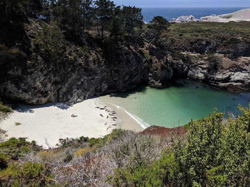 Point Lobos State Natural Reserve