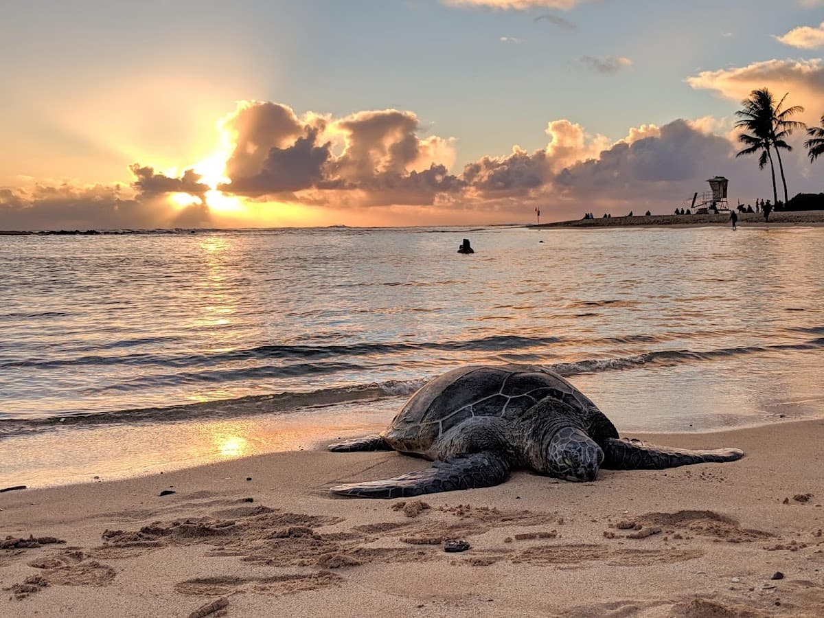 Poipu Beach