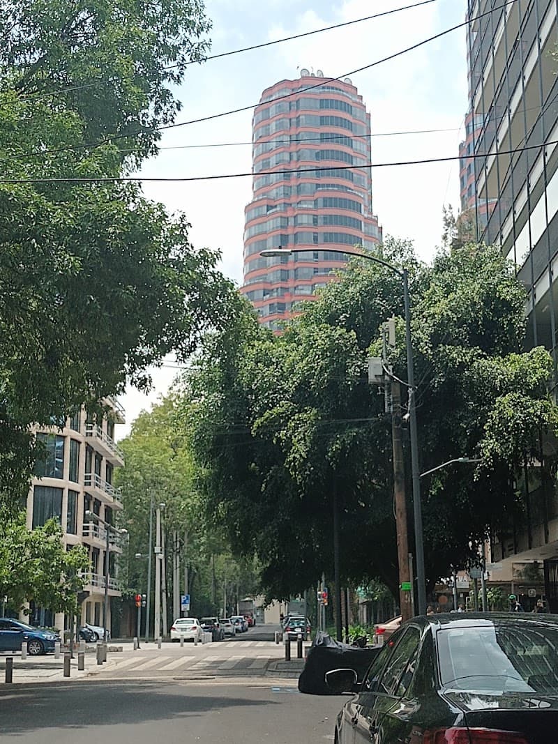 Polanco Avenue Shopping