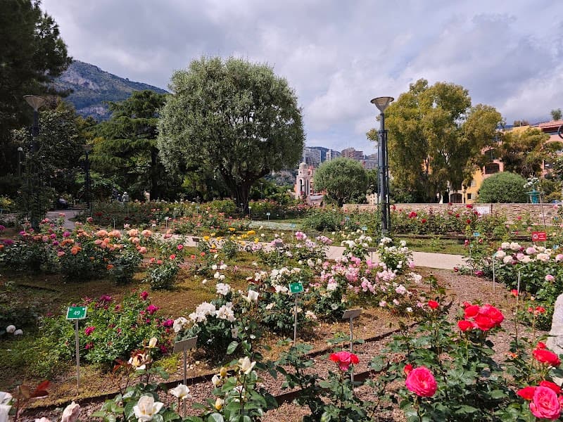 Princess Grace Rose Garden