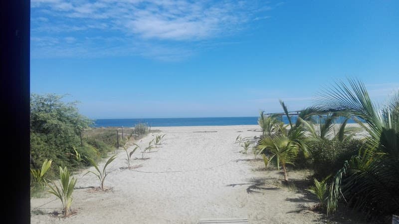 Punta Sal