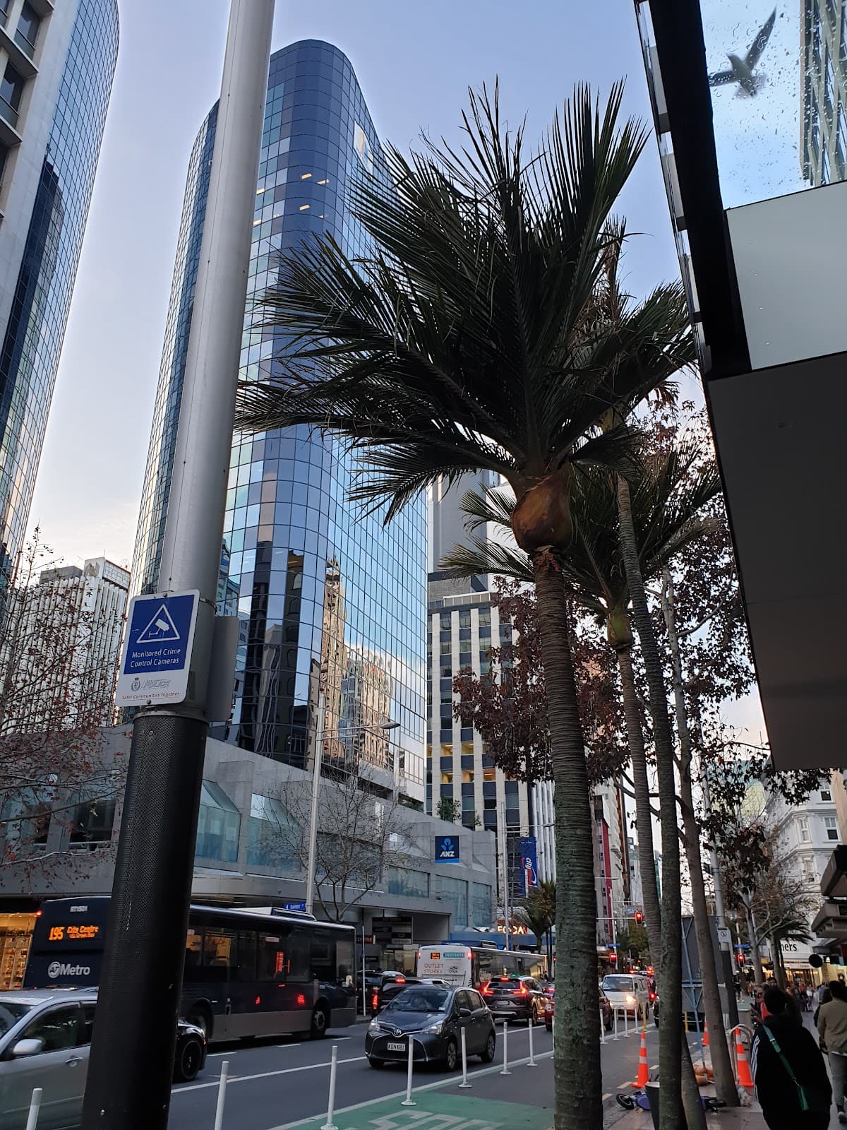 Queen Street Stroll & Shopping