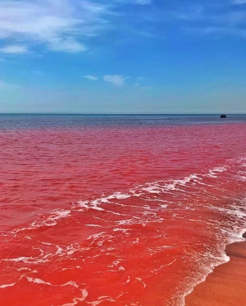 Red Beach (ساحل سرخ هرمز)