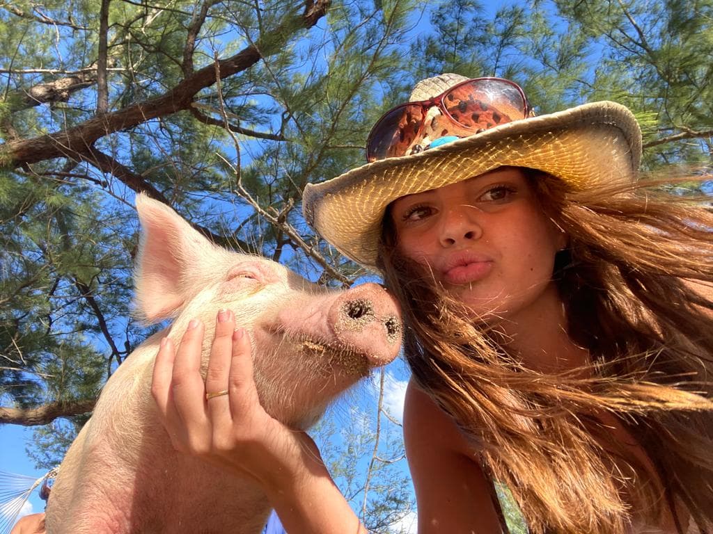 Rose Island Swimming Pigs Tour