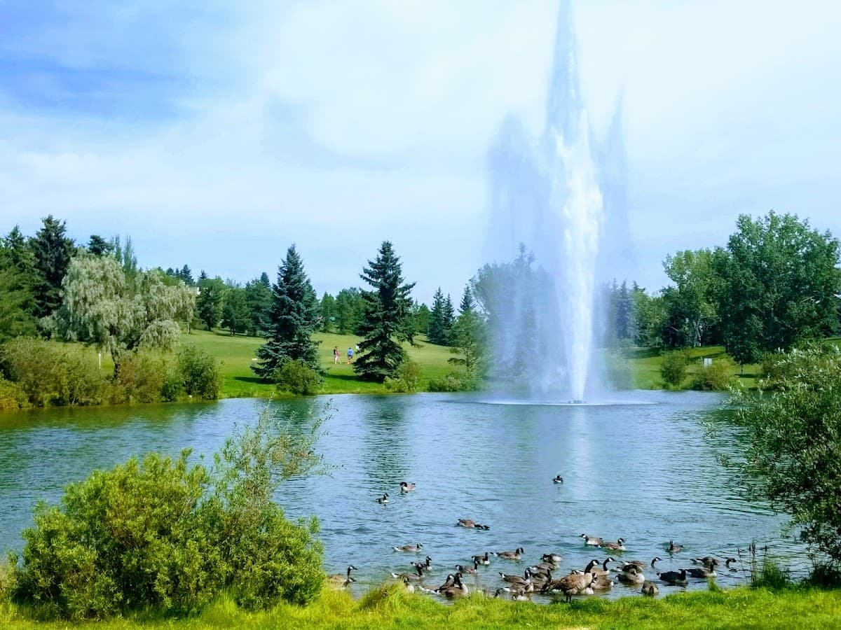Rundle Park Operations