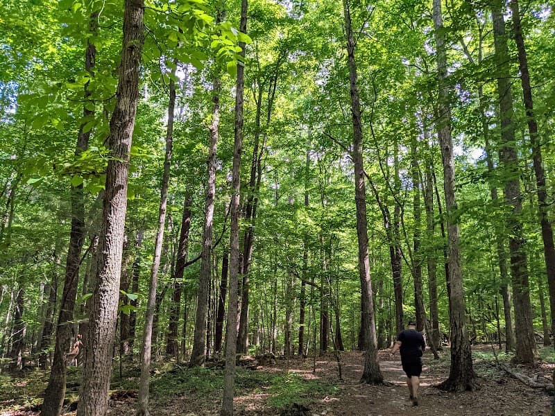 Sal's Branch Rapids Scramble