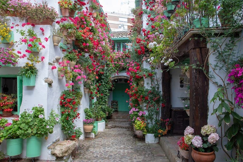 Patios de San Basilio (Flower Patios District)