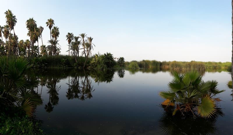 San José Estuary (Estero San José)