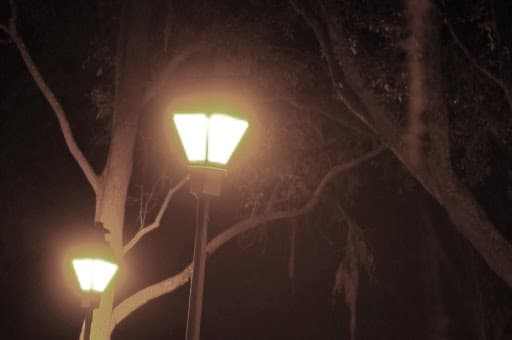 Savannah Riverfront & River Street Stroll