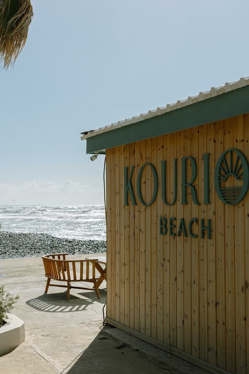 Seafood Taverna at Kourion Beach (e.g., Kourion Beach Restaurant)