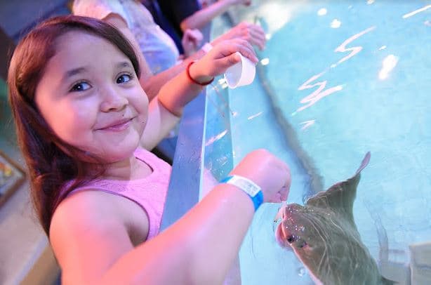 SeaQuest Folsom (NorCal Aquarium & Wildlife)
