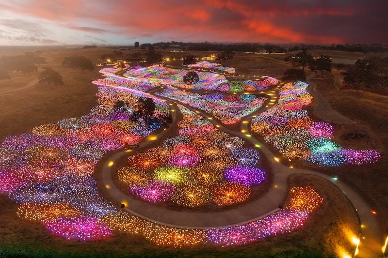 Sensorio: Field of Light & Light Towers