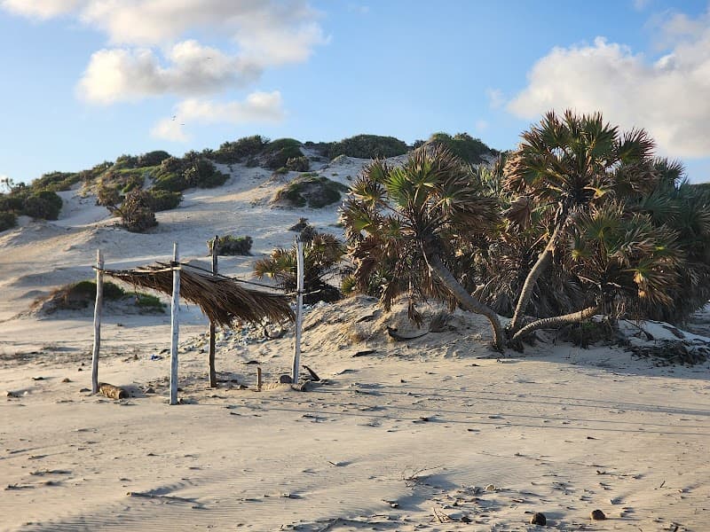Shela Dunes & Beach Walk