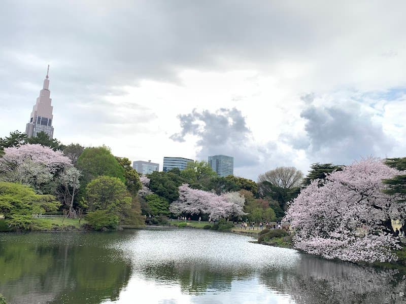 Tokyo Bites & Nights: A 7-Day Foodie Escape