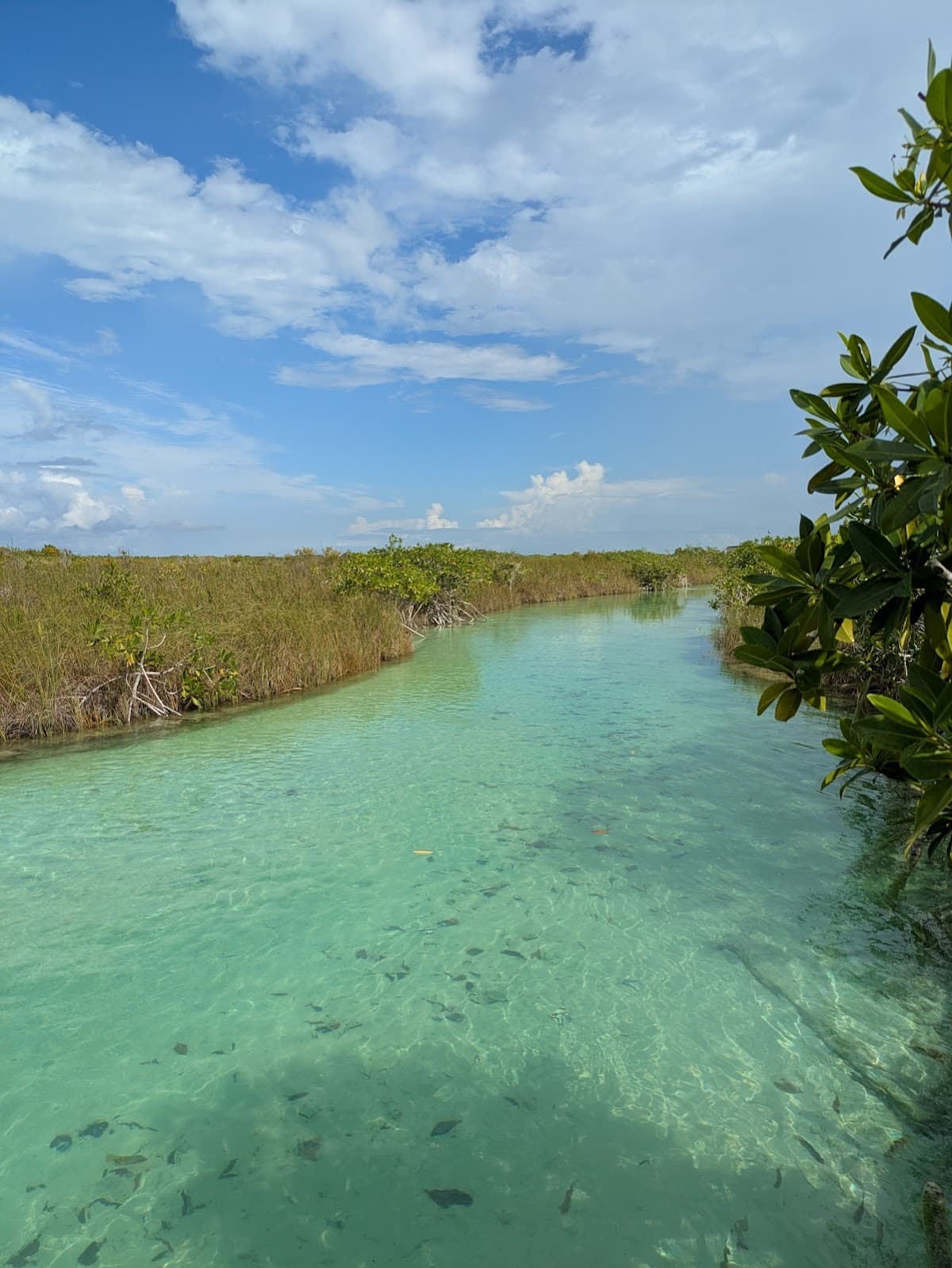 Sian Ka'an Biosphere Canals