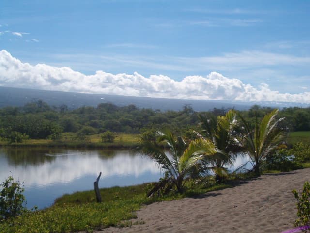 Snorkel Honokohau Bay