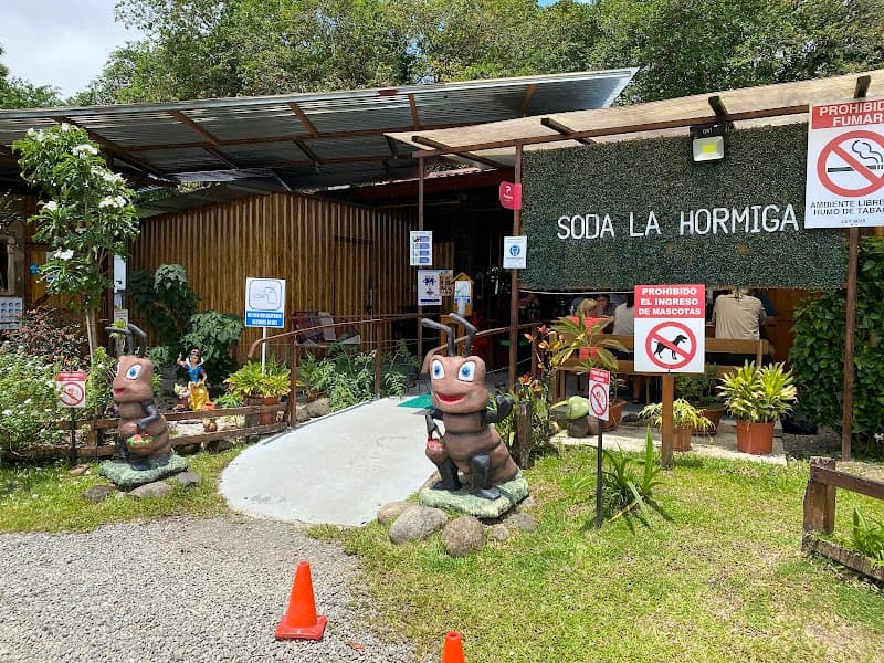 Jungle Romance in La Fortuna: Waterfalls, Springs & Misty Nights