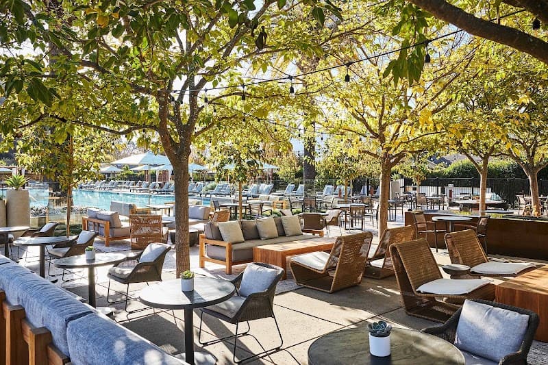 Jungle Wild Napa: Luxe Tastings and Culinary Depths