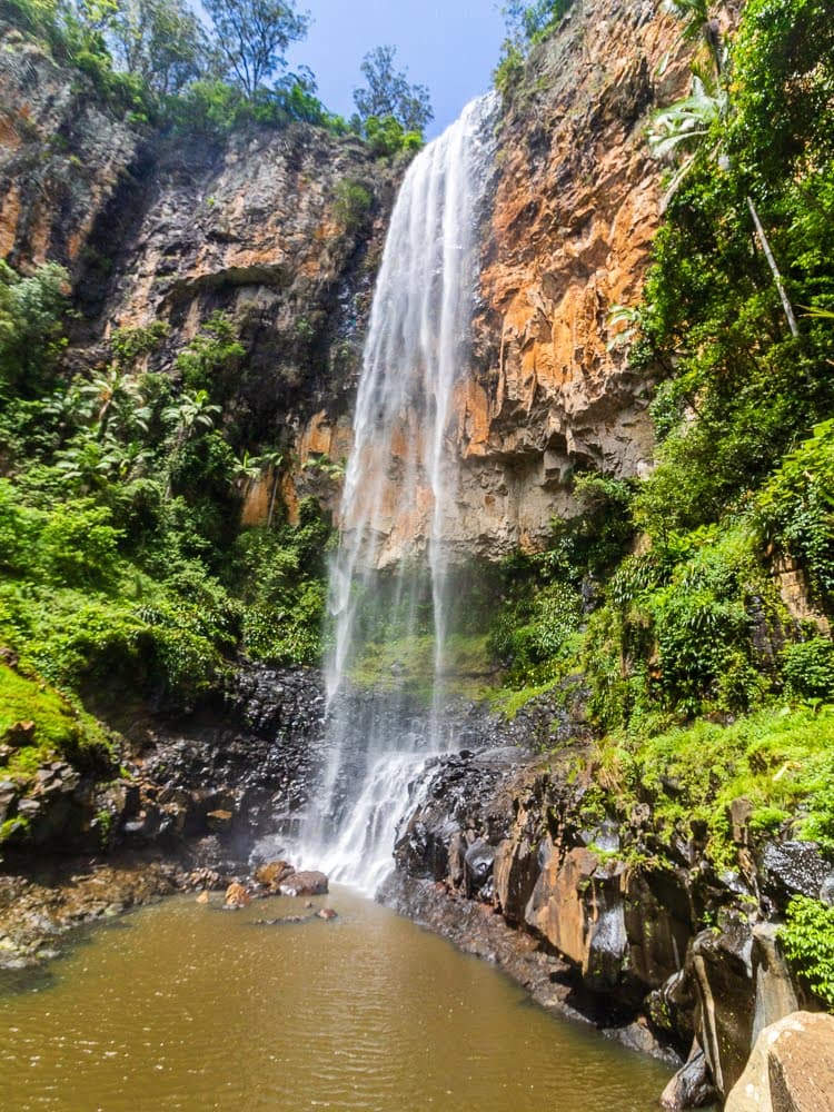 Springbrook National Park & Natural Bridge (Half-Day Small-Group Tour)
