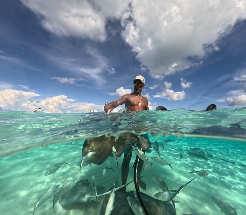 Stingray City Sandbar