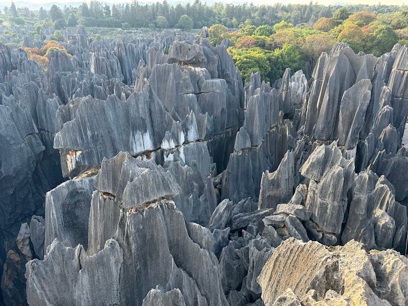 Stone Forest (Shilin) Geological Park