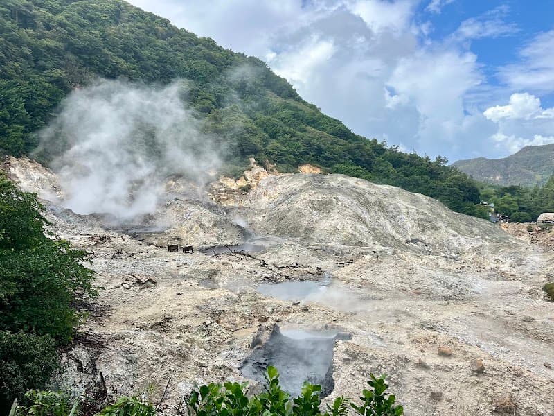 Sulphur Springs Mud Baths