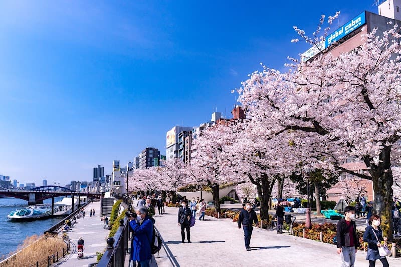 Sumida Park Riverside Walk