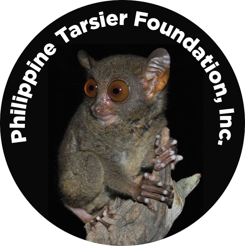 Tarsier Sanctuary Visit