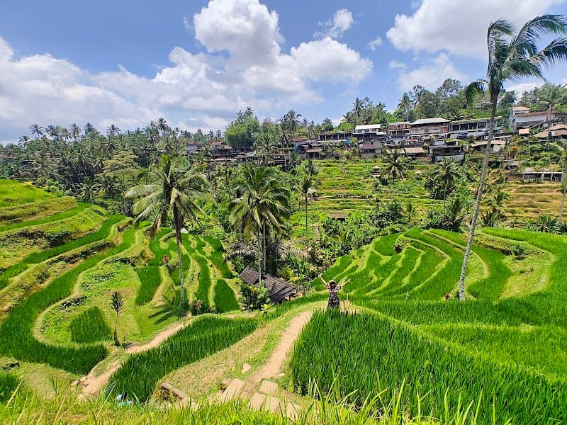 Bali Adventure Escape: Volcanoes, Waterfalls & Island Bliss