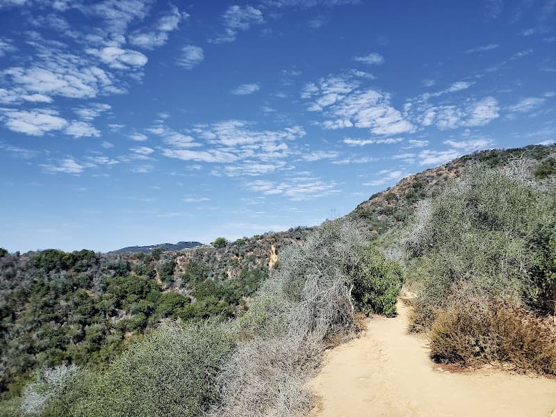 Coastal Trails & Sunset Vibes in Westside LA