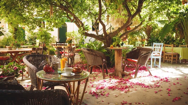 Romantic Jungle-Wild Weekend in Mallorca