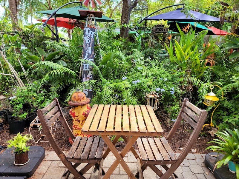 Jungle-Style Romance in Sunny Fort Lauderdale