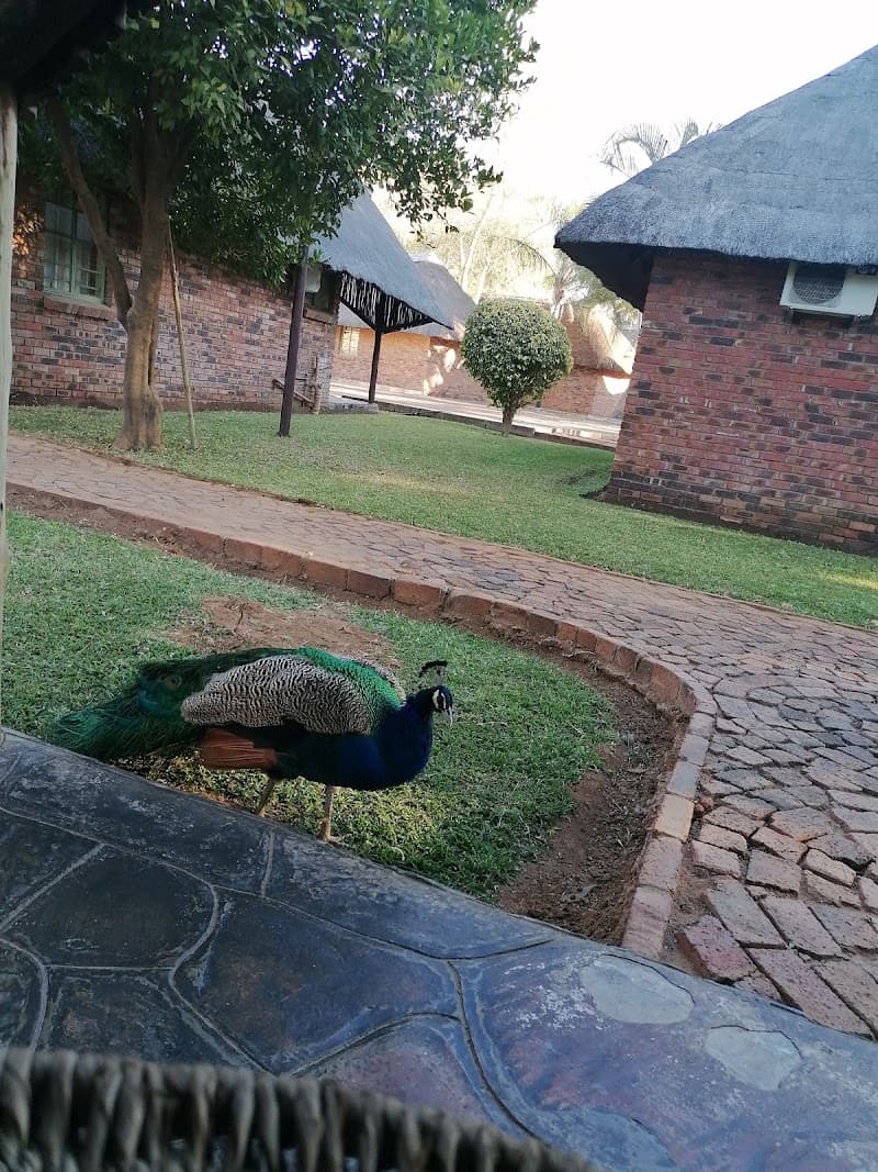 The Big Five Lodge