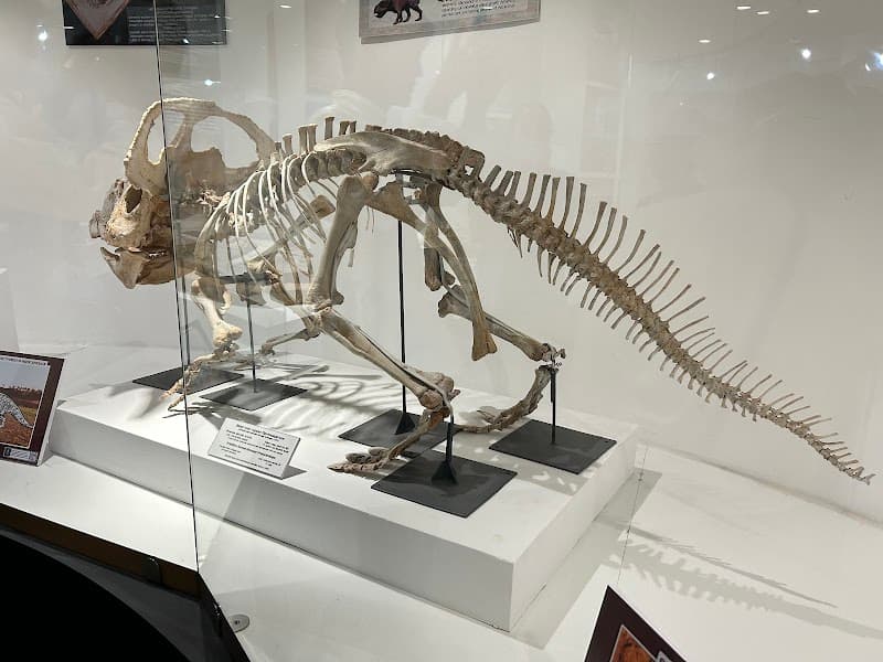 The Gobi Museum Of Nature And History