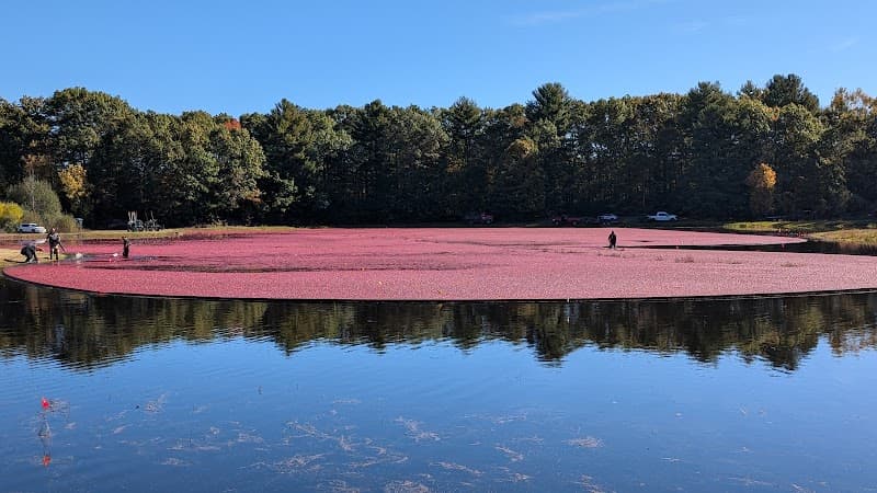 Foxborough Adventure: Nature, Sports & Local Gems