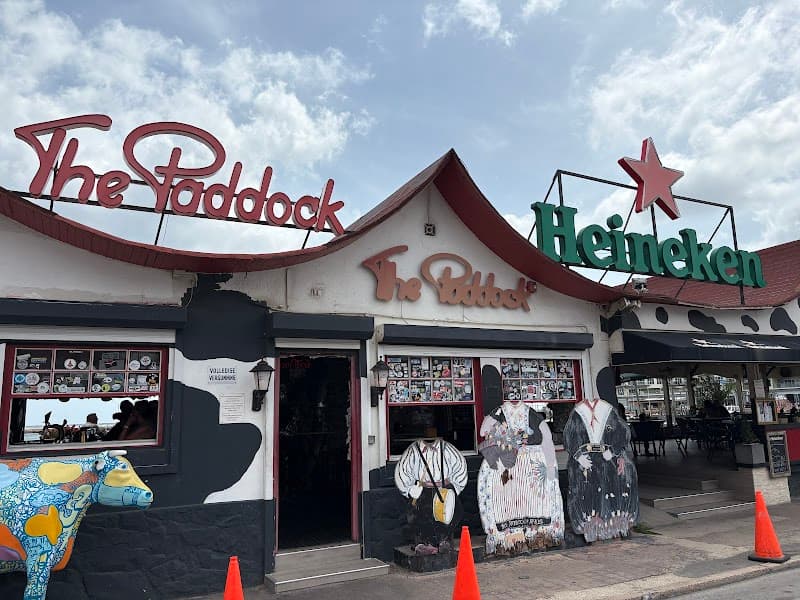 The Paddock