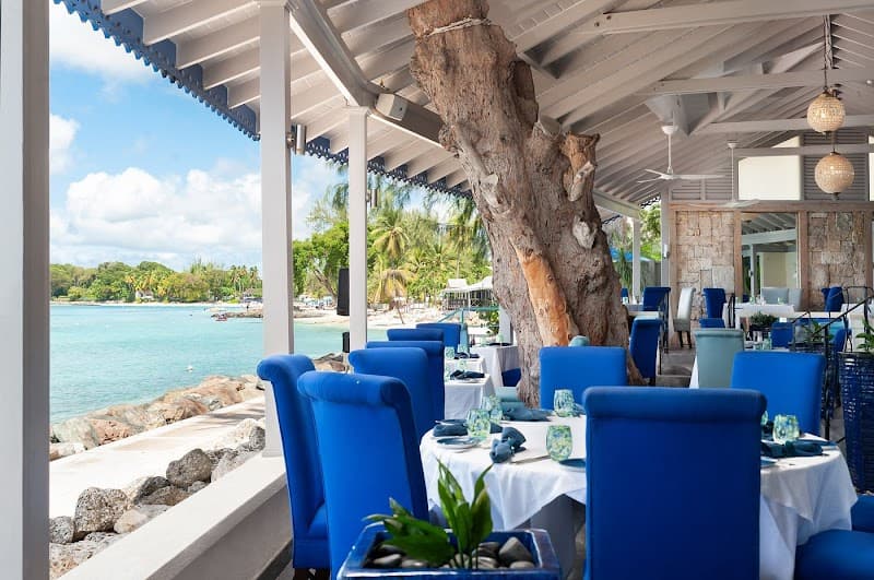 Barbados Bohemian Adventure Escape