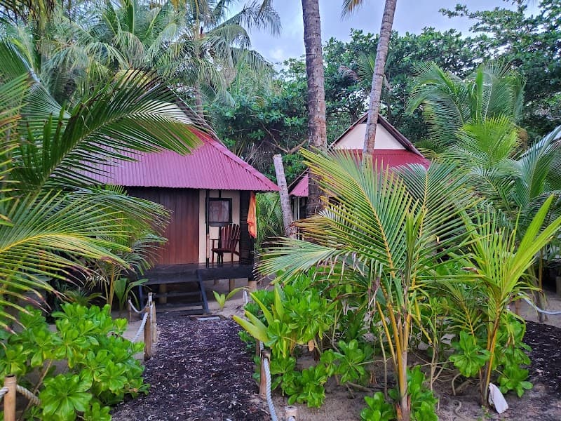 Jungle Wild Family Escape on Little Corn Island