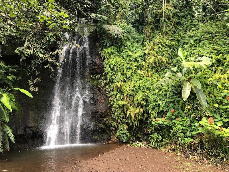 The Water Gardens of Vaipahi