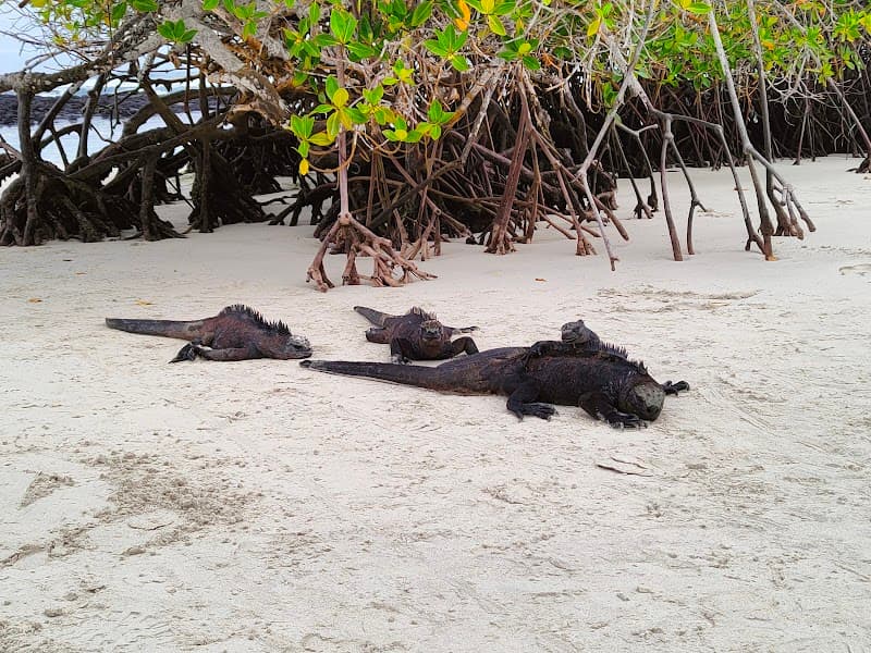 Tortuga Bay Hike & Beach
