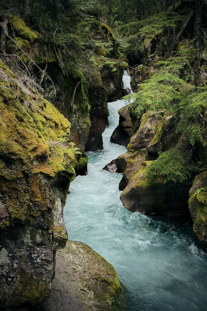Trail of the Cedars & Avalanche Lake Hike