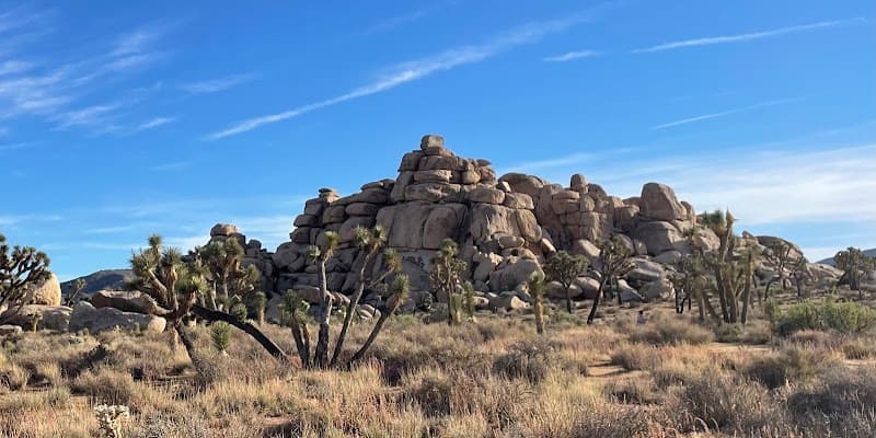 Twentynine Palms Bar Live