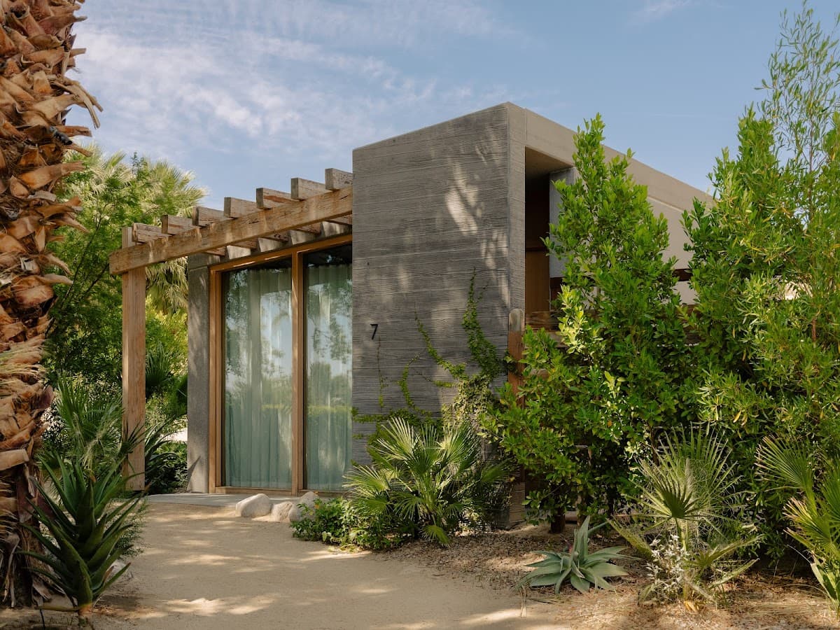 Two Bunch Palms