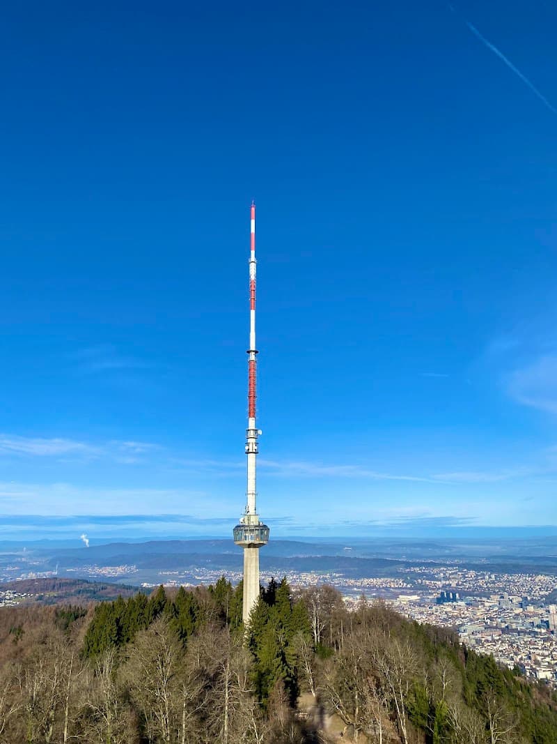 Uetliberg Mountain Viewpoint