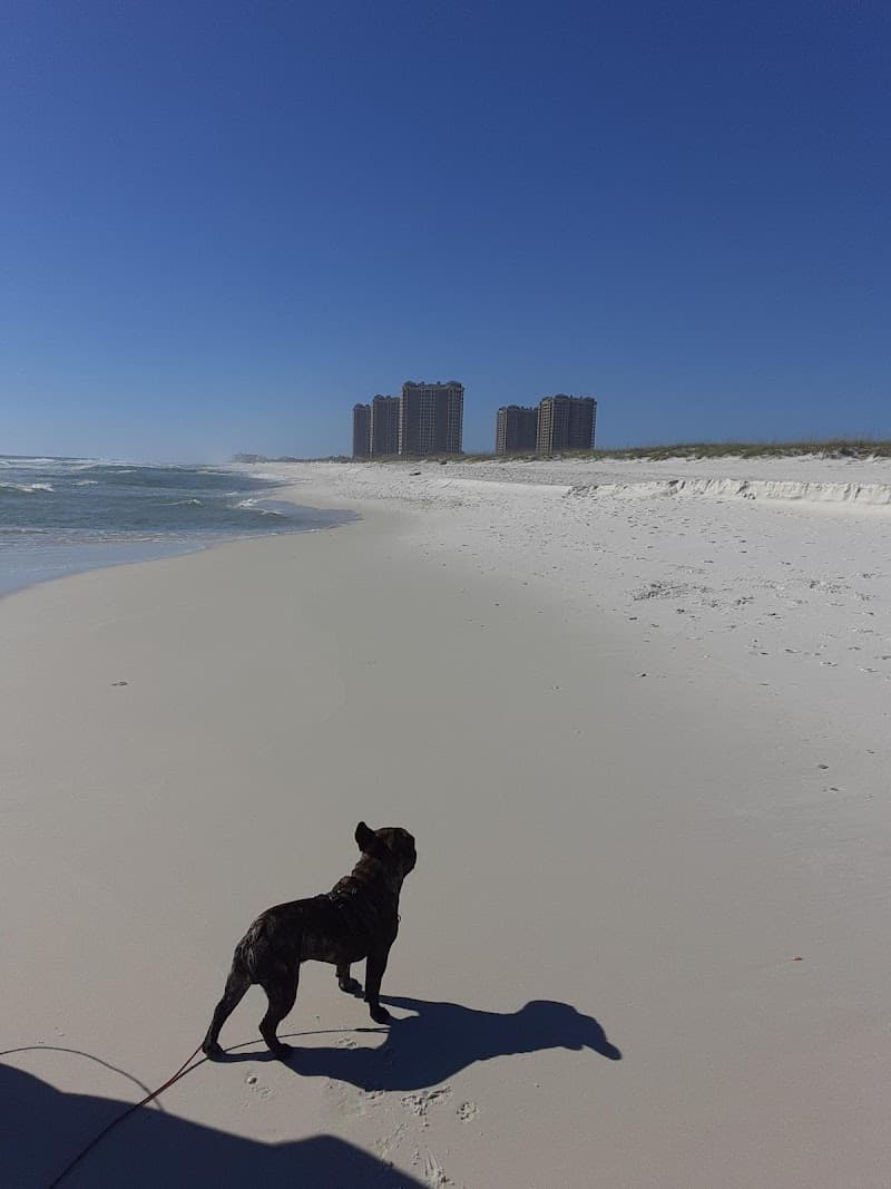UFO's Pensacola Beach