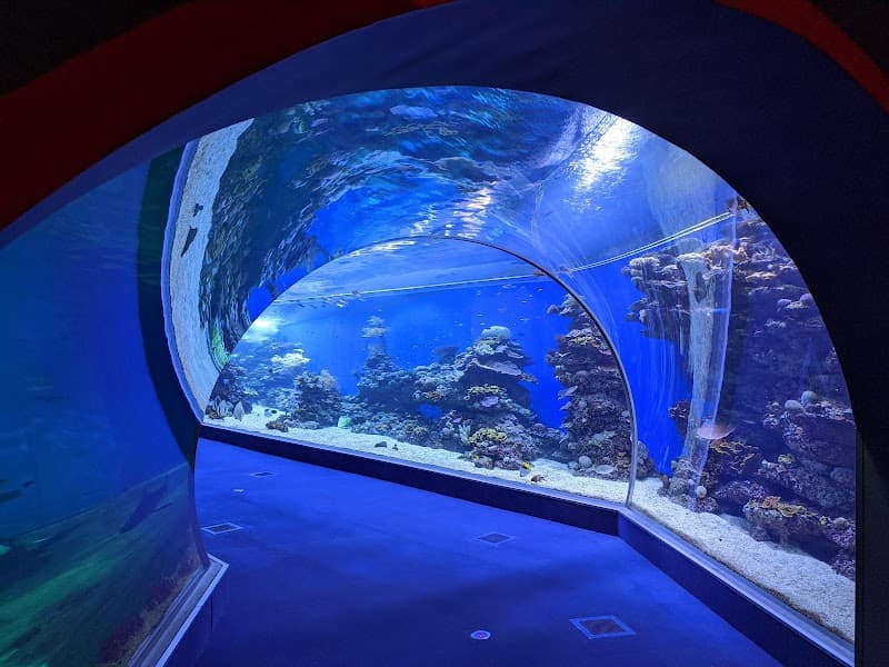 Underwater Observatory Marine Park