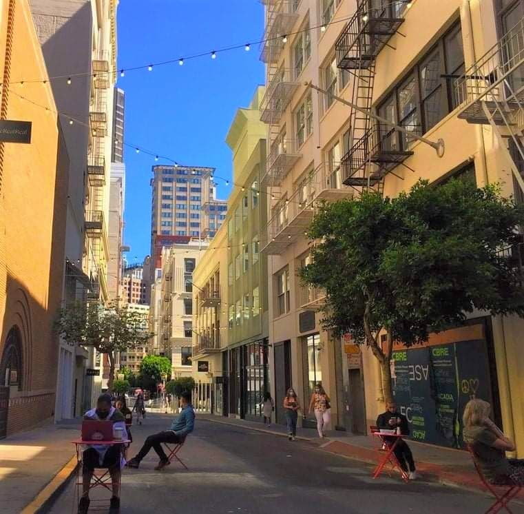 7 Jungle-Wild Days in Romantic San Francisco