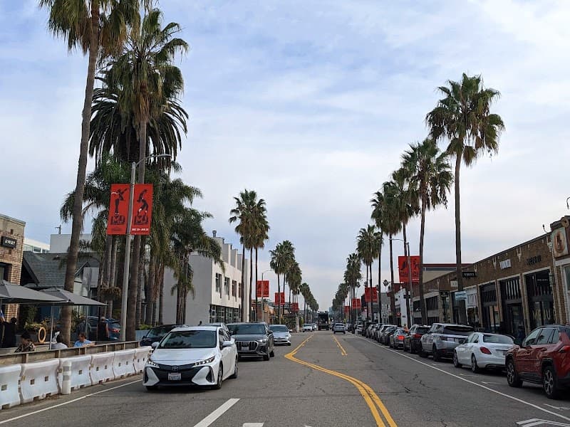 Venice Canals & Abbot Kinney